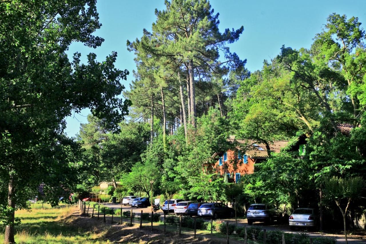 Village Nature et Océan Messanges  Esterno foto