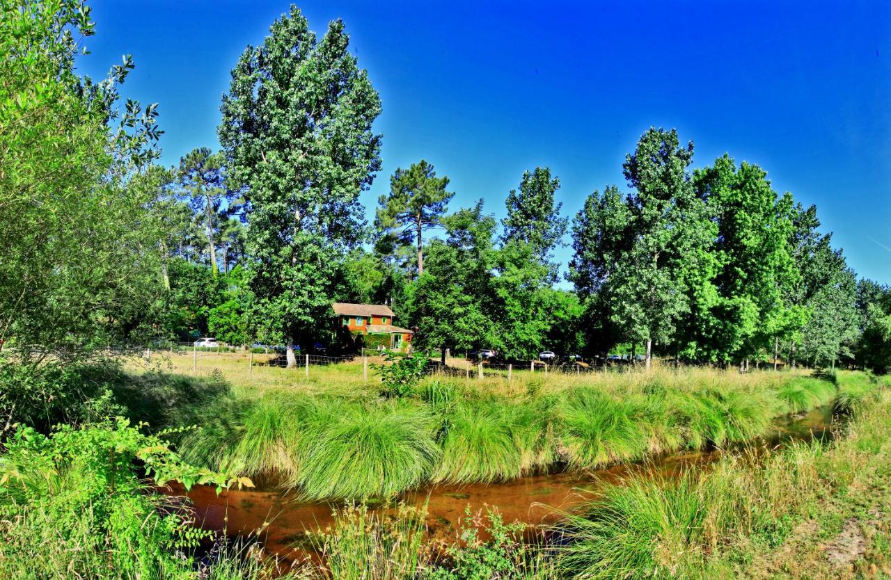 Village Nature et Océan Messanges  Esterno foto